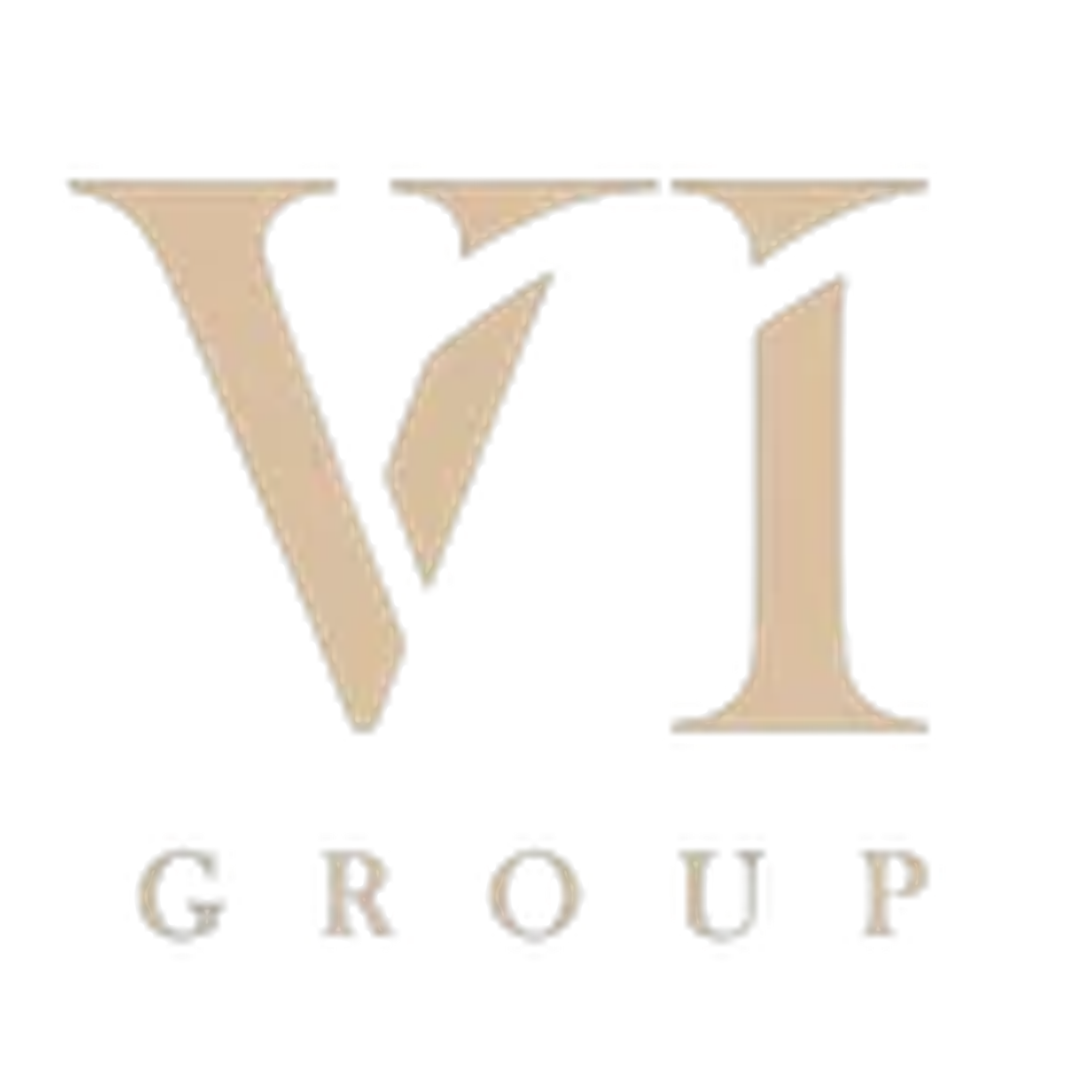 Logo VI Group