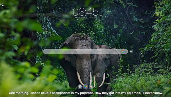 Capturing the Wild Beauty: Exploring Wildlife Photography on MeaVana