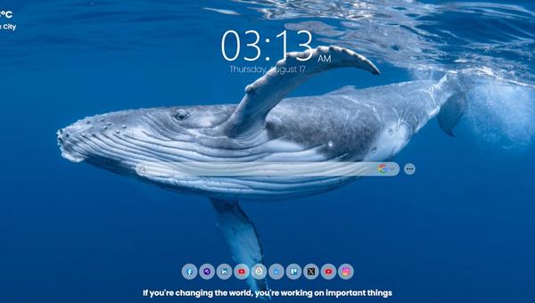 Dive into the Enchanting World of Whales with MeaVana Chrome Extension: A Visual and Educational Delight