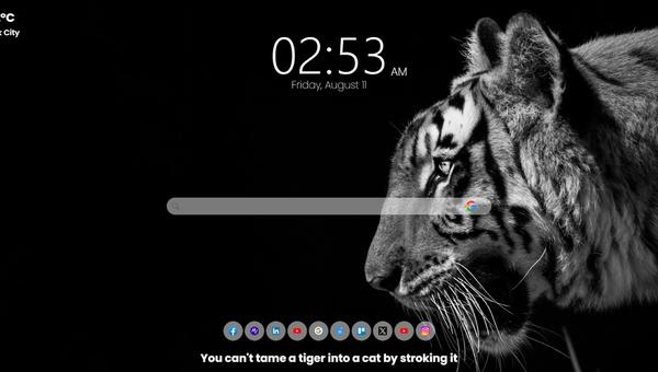 Embracing Beauty and Efficiency: Exploring the Values of the MeaVana Chrome Extension