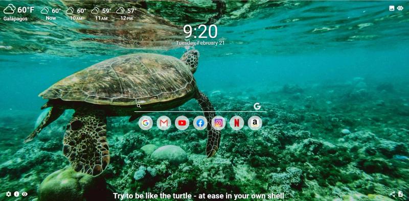 Sea turtle on MeaVana