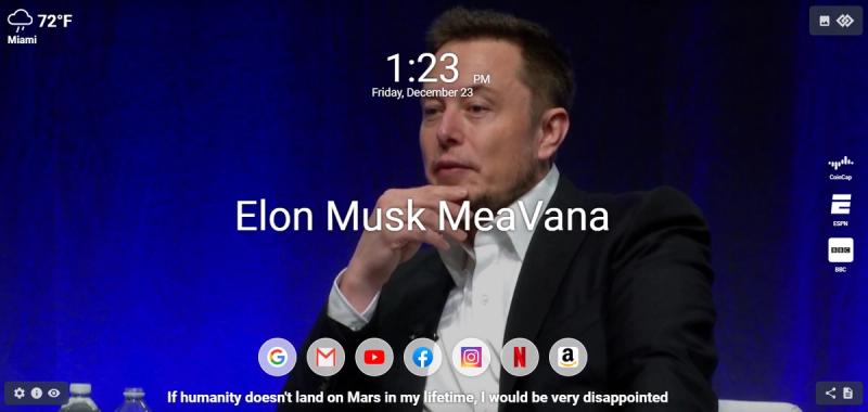 Elon Musk thinking on MeaVana