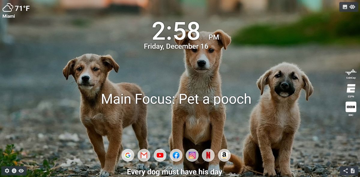 Unleash Your Love: The Best Apps for Dog Lovers