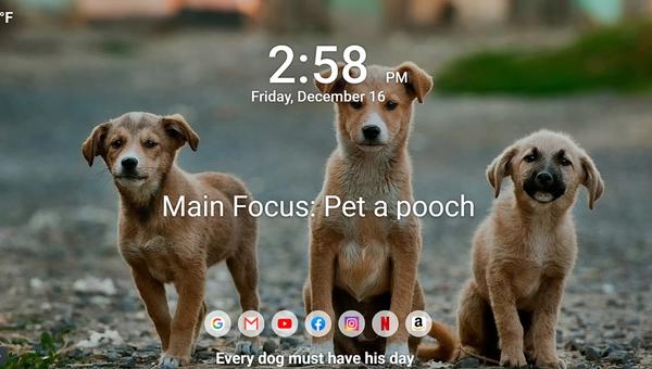 Unleash Your Love: The Best Apps for Dog Lovers