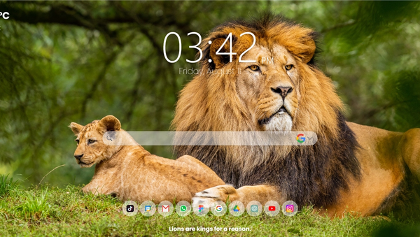 Bring the Wonders of Wildlife to Your Browser with the MeaVana Extension