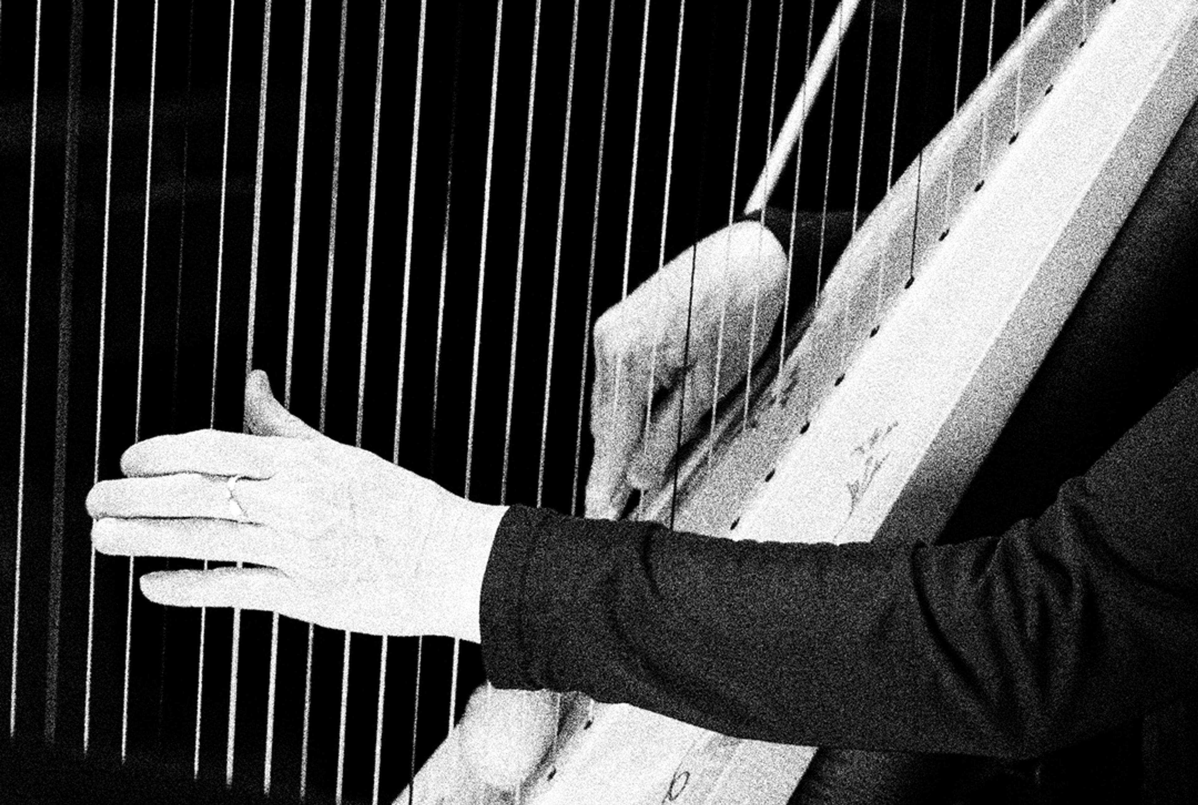 Anne & harp ©Morgane Meys