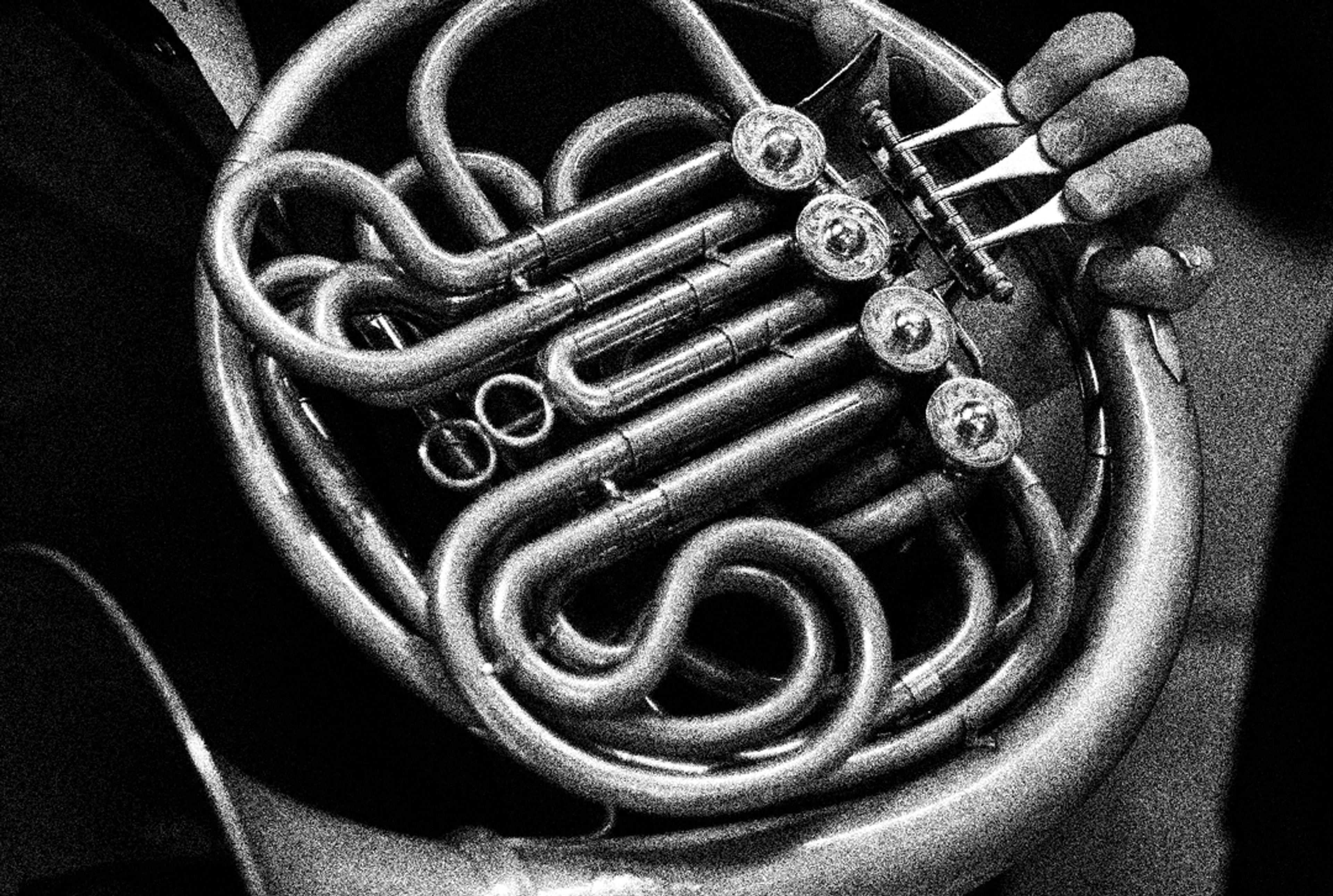 Charles & horn ©Morgane Meys
