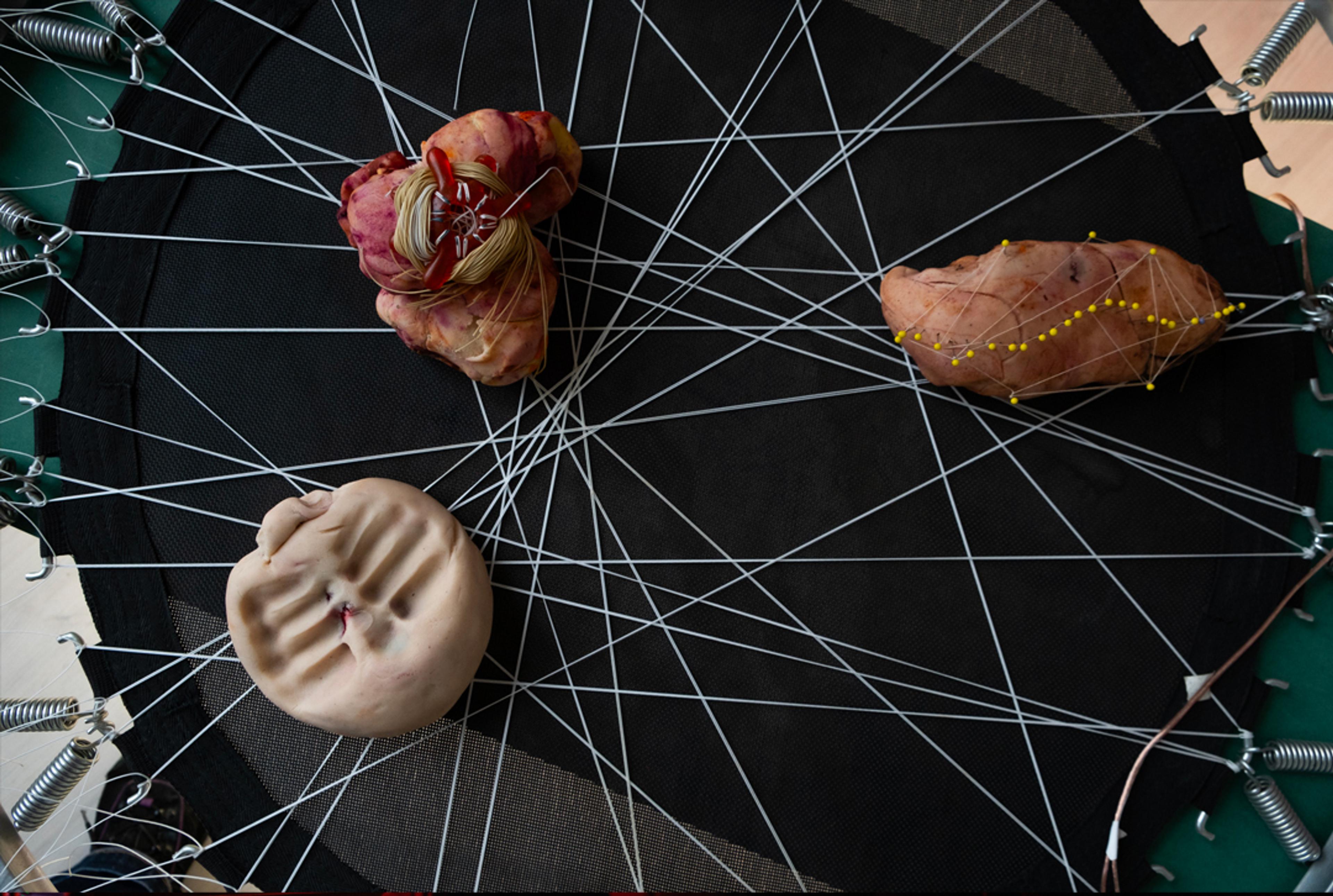 Labyrinthic Explanation of Knowledge Photo ©Anna Lerheim Ask