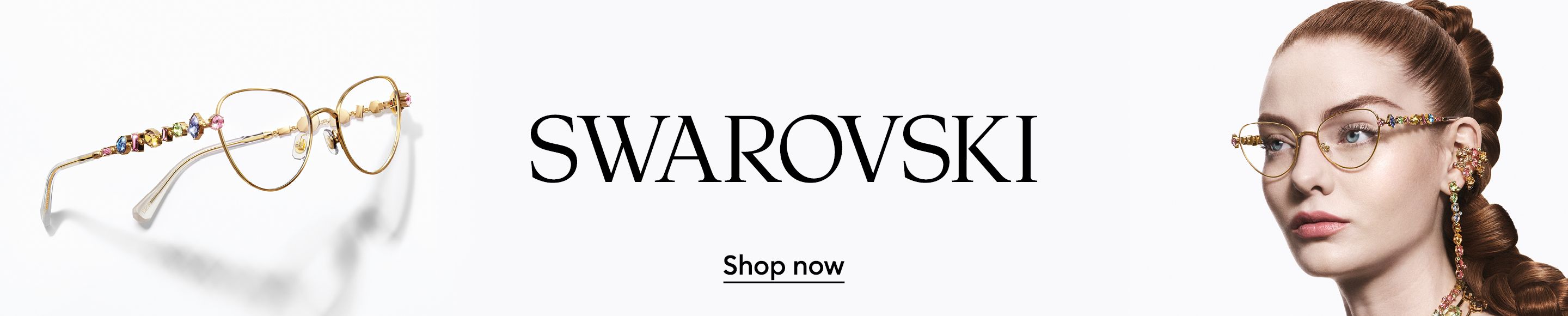 Promotional Banner
