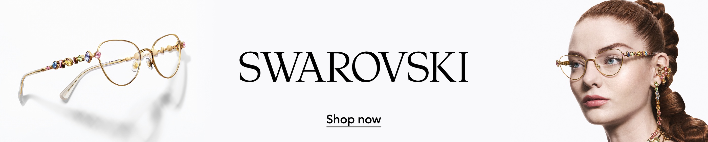 Promotional Banner