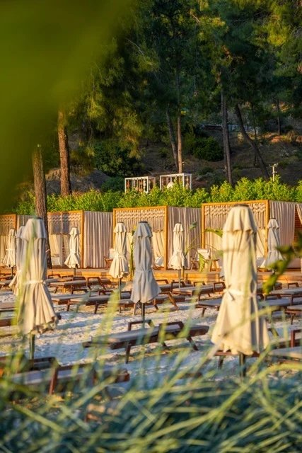 Beach loungers and closed parasols in front of a line of fringed cabanas beneath trees at So Beach.