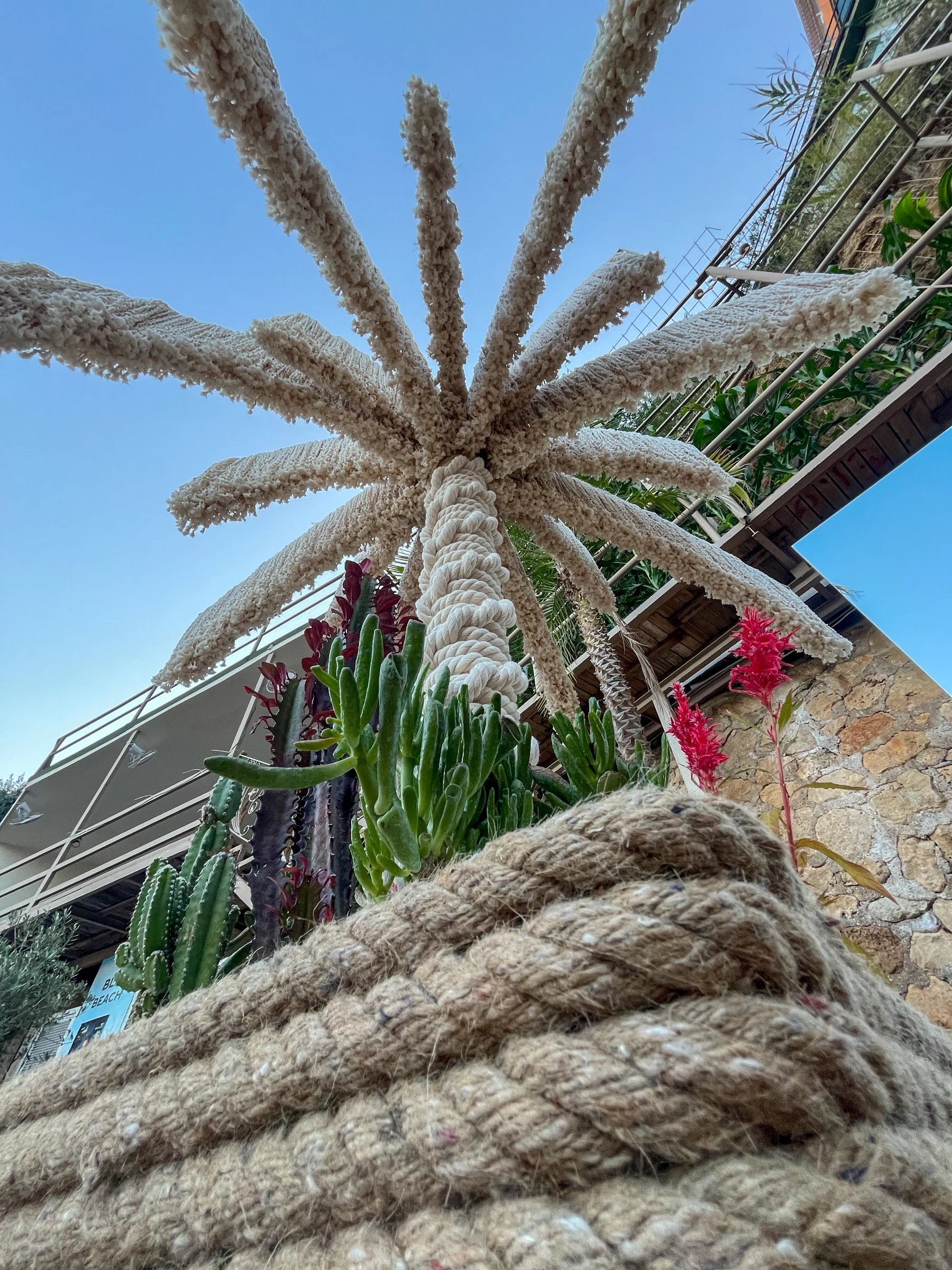 Dimare Palm Tree — product (DM-UM-016)