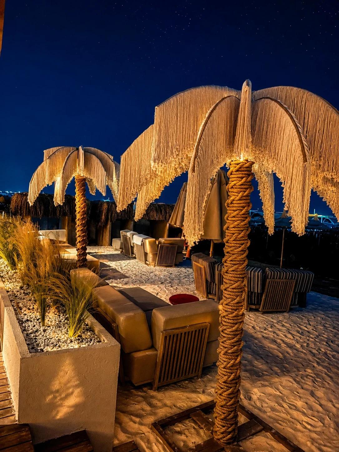 Dimare Palm Tree