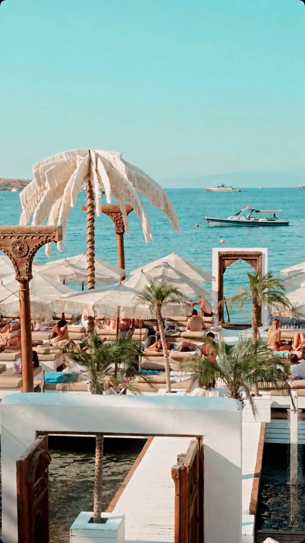 The Dimare Palm Tree above the sunbeds and carved timber frames of the Reana Beach deck