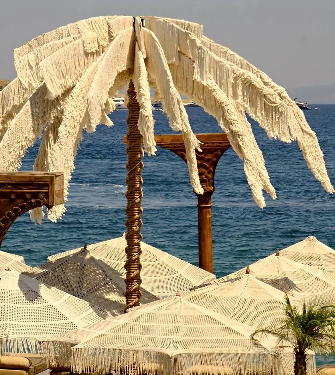 The fringed crown and spiral-braided rope trunk of the Dimare Palm Tree at Reana Beach against the open sea