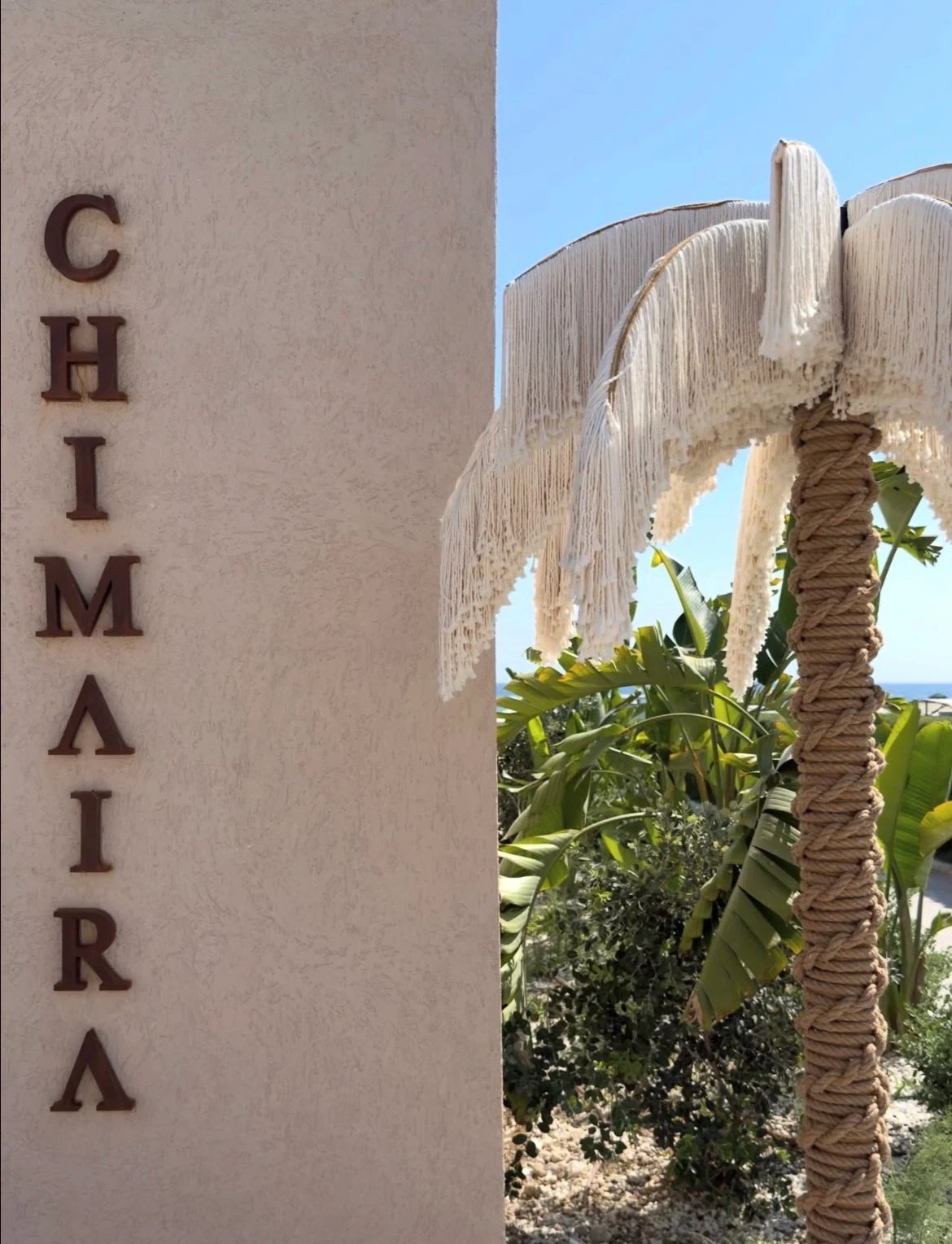 A Dimare Palm Tree with a fringed crown beside the Chimaira signage at Adalya Bliss