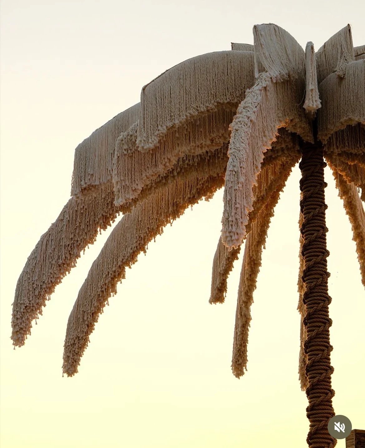 Golden-hour detail of the fringed fronds and spiral rope braid of the Dimare Palm Tree at Reana Beach