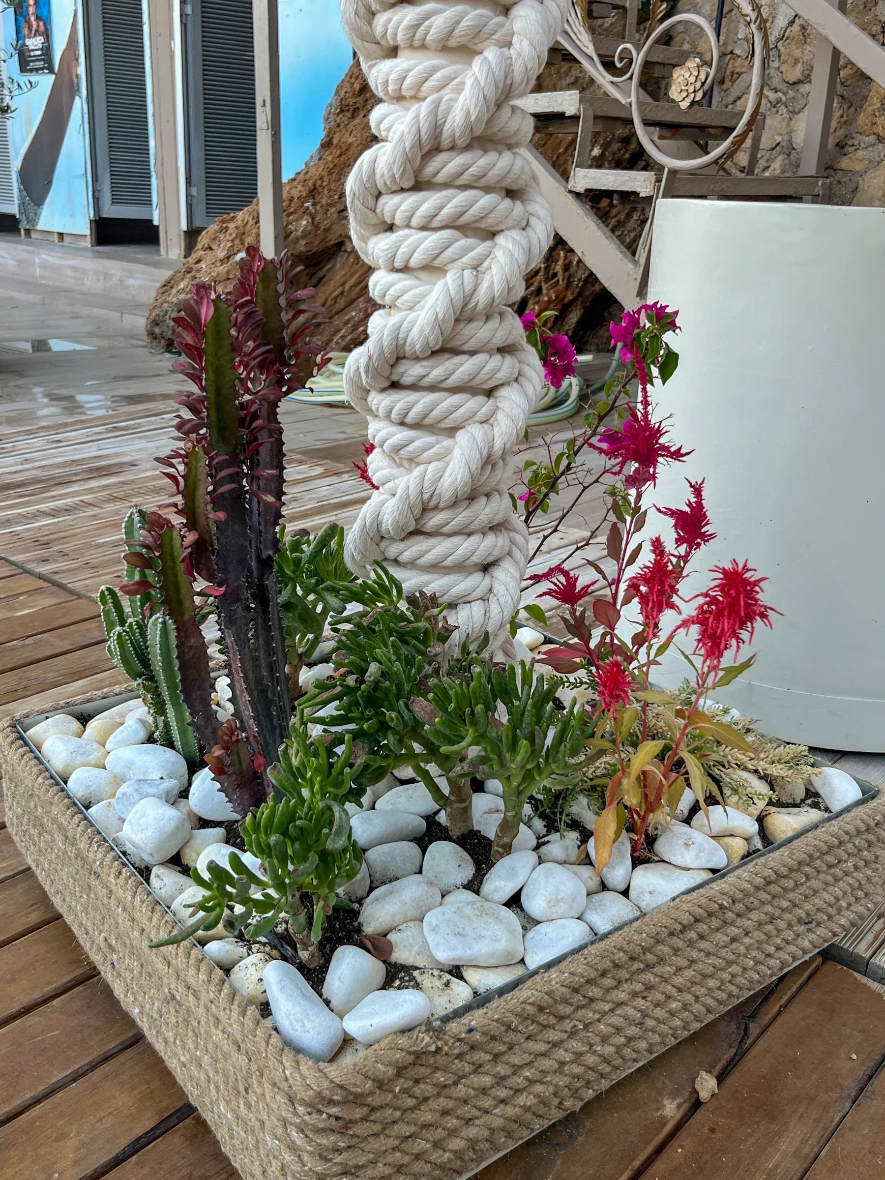 Dimare Palm Tree — product (DM-UM-016)