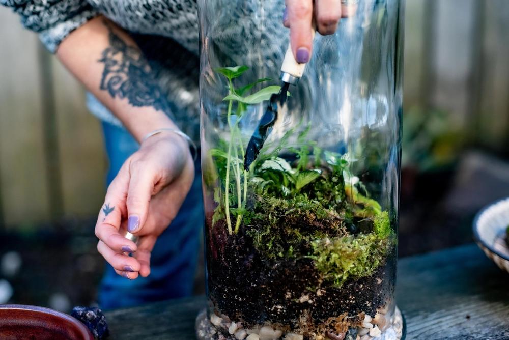 terrarium project