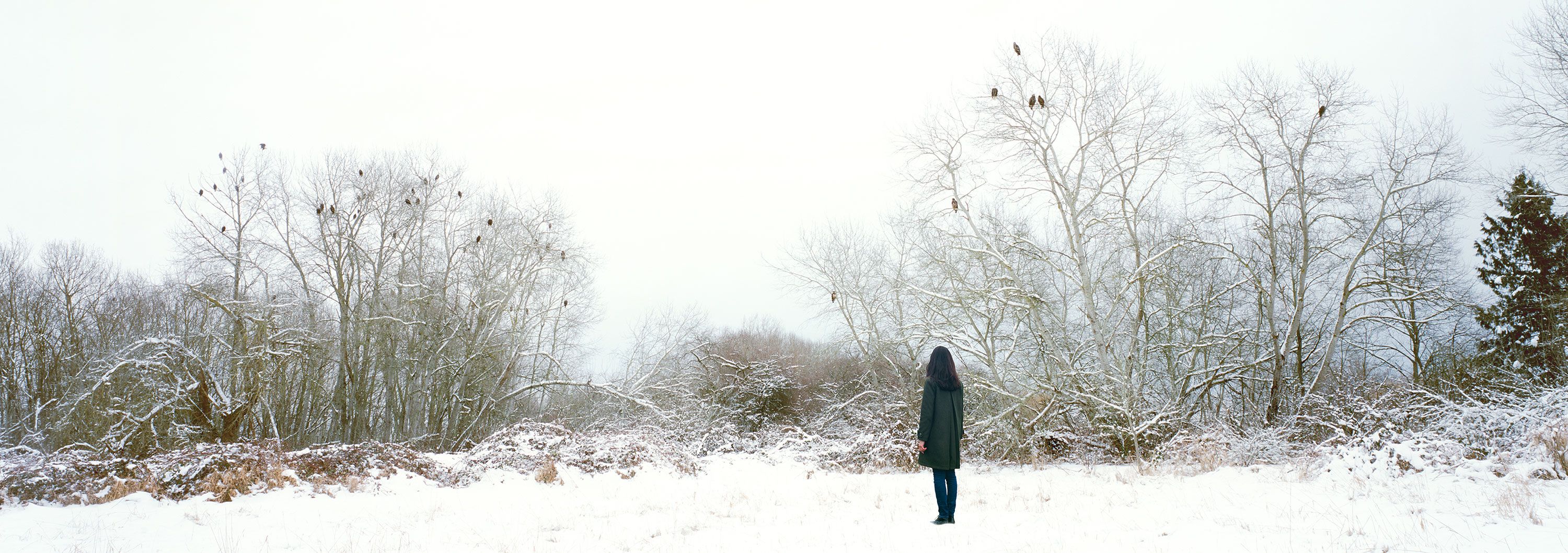 Solstice: Through Storm & Stillness | Audain Art Museum