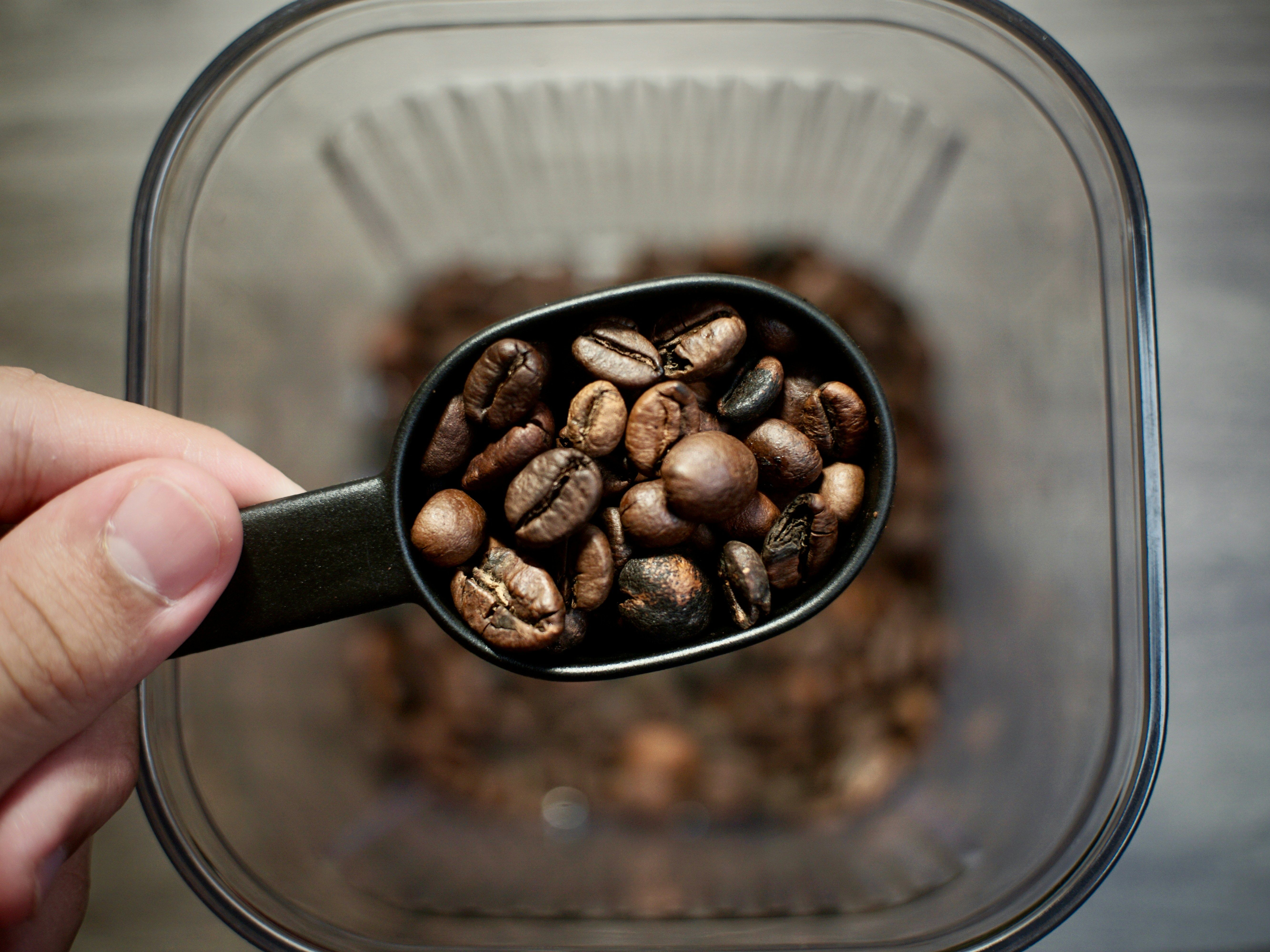Fresh roasted beans