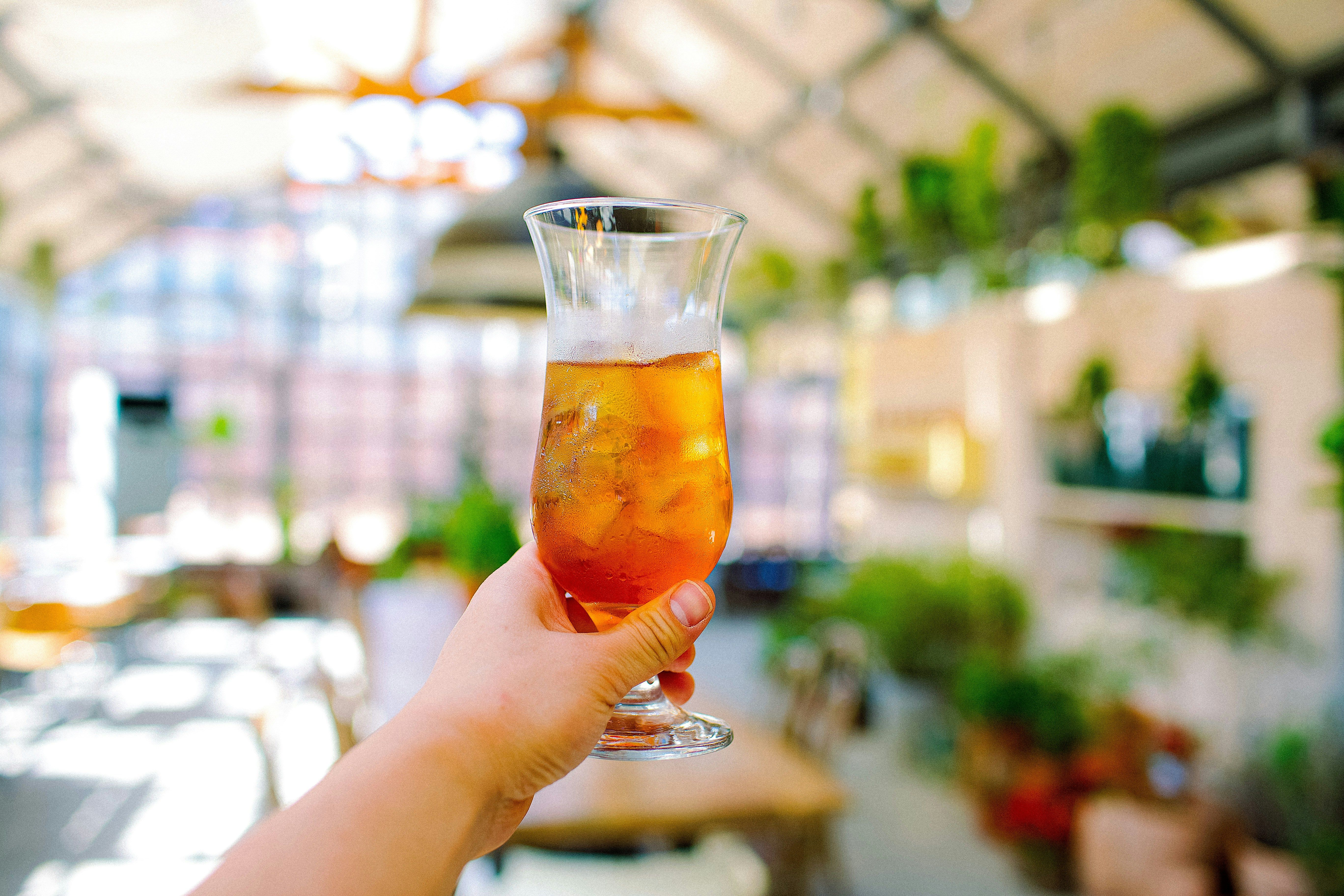 Iced coffee against greenery