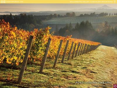 Chehalem Mountains AVA