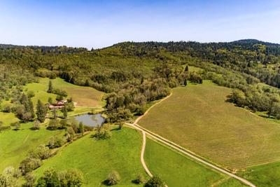 Umpqua Valley AVA