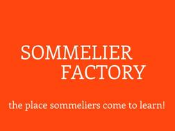 Trade Tasting - Sommelier Factory