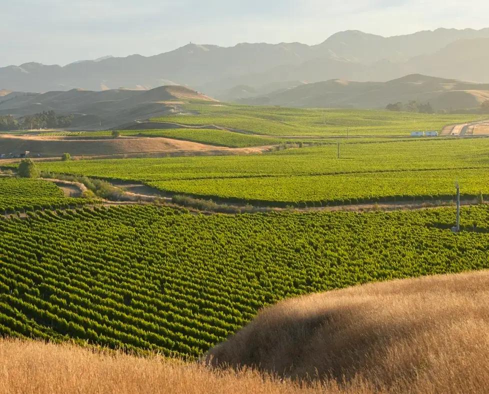 Browse New Zealand GIs