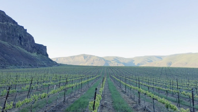 Ancient Lakes of Columbia Valley AVA