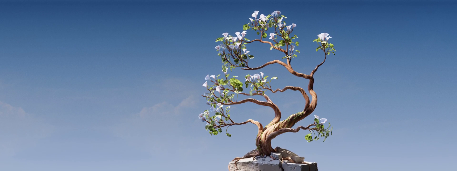 Revolutionizing Health and Longevity: Fountain Health NYC's Holistic Approach to Anti-Aging