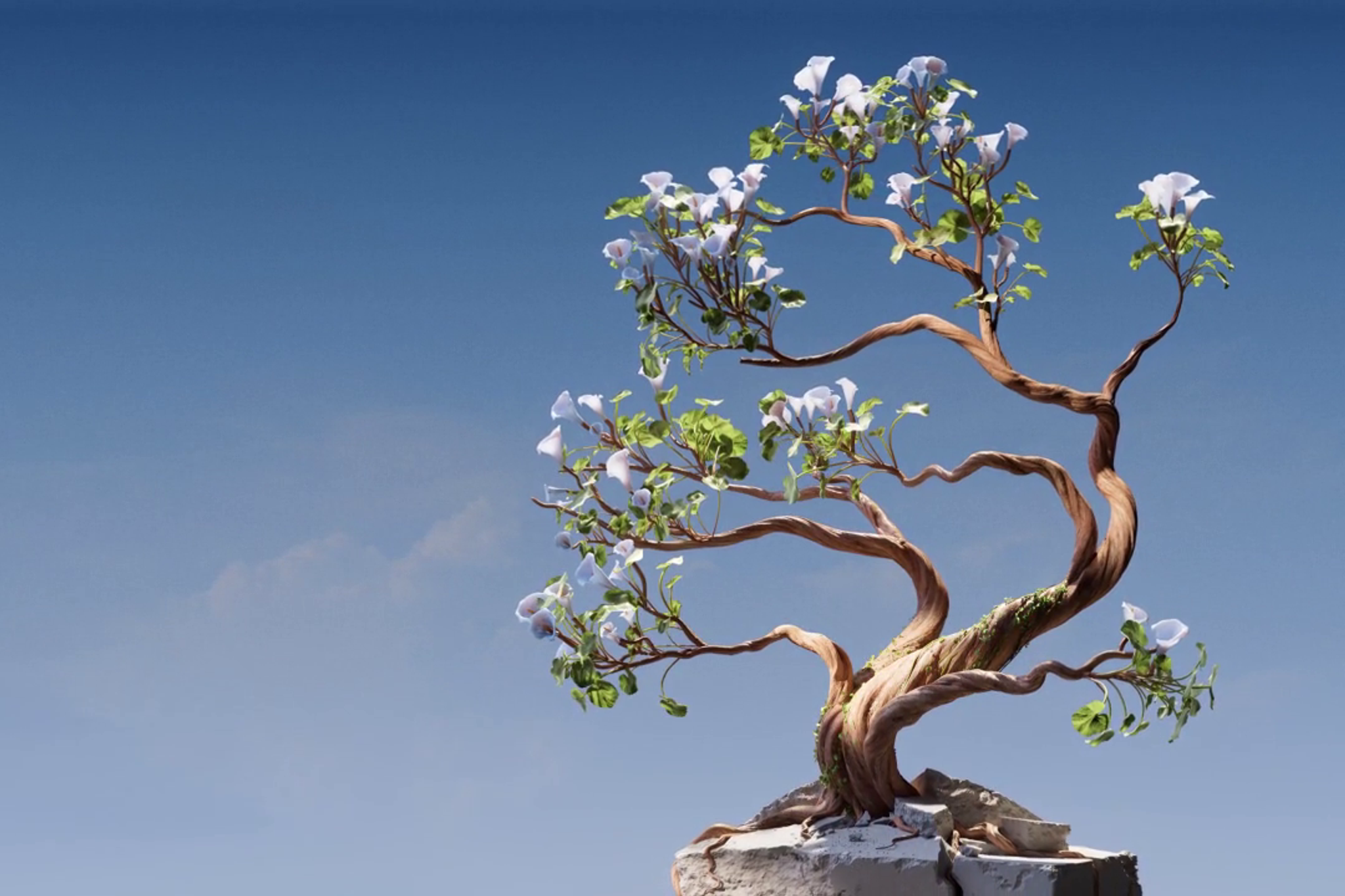 Revolutionizing Health and Longevity: Fountain Health NYC's Holistic Approach to Anti-Aging