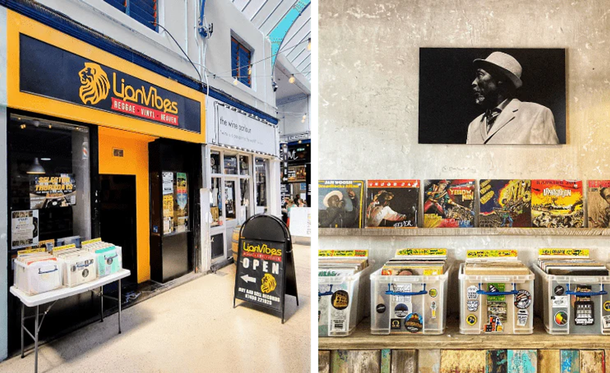 lion vinyl in brixton