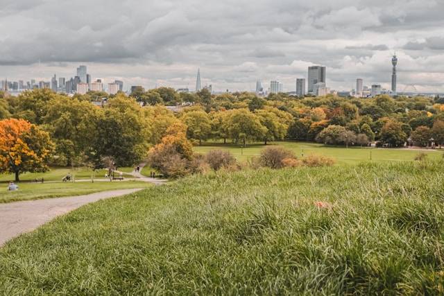 primrose hill