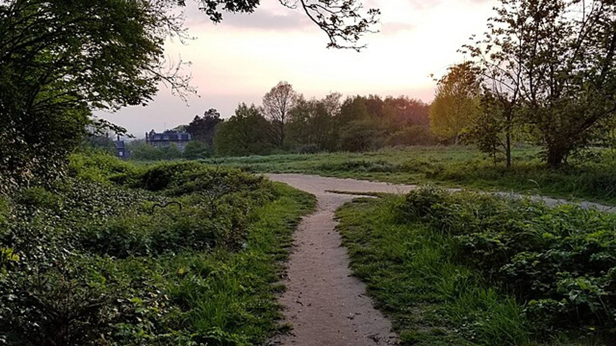 West Hampstead Heath