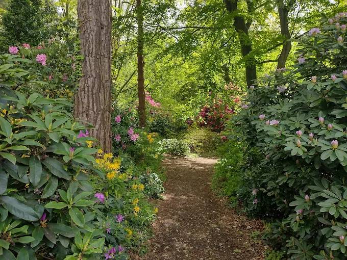 Coombe Wood