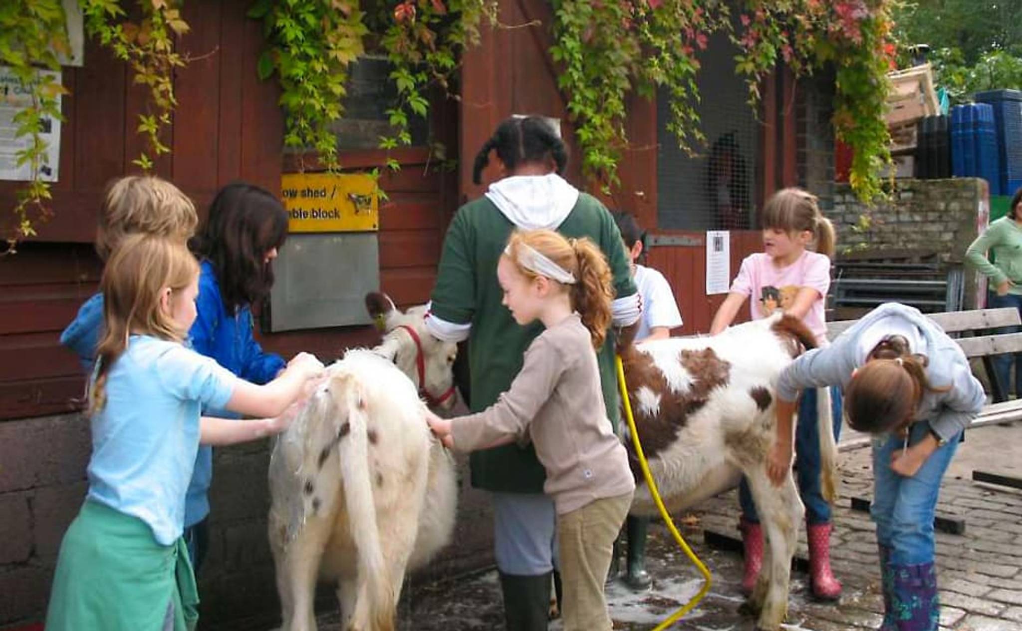 Hackney City Farm