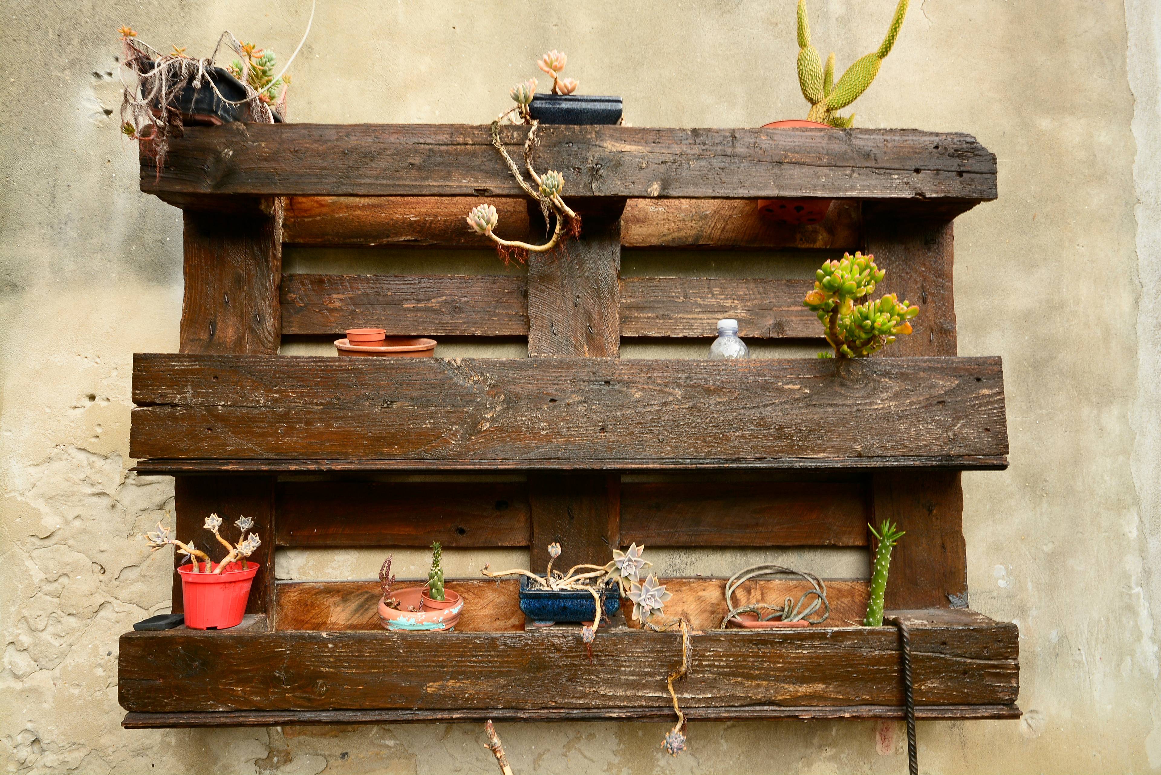 Potted plants on house wall