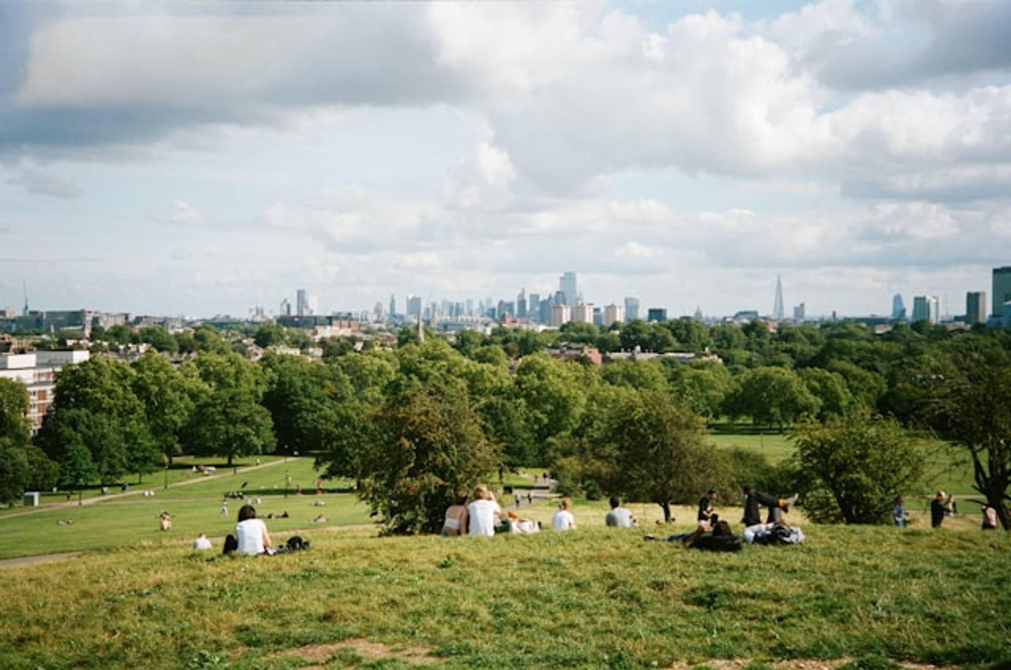primrose hill