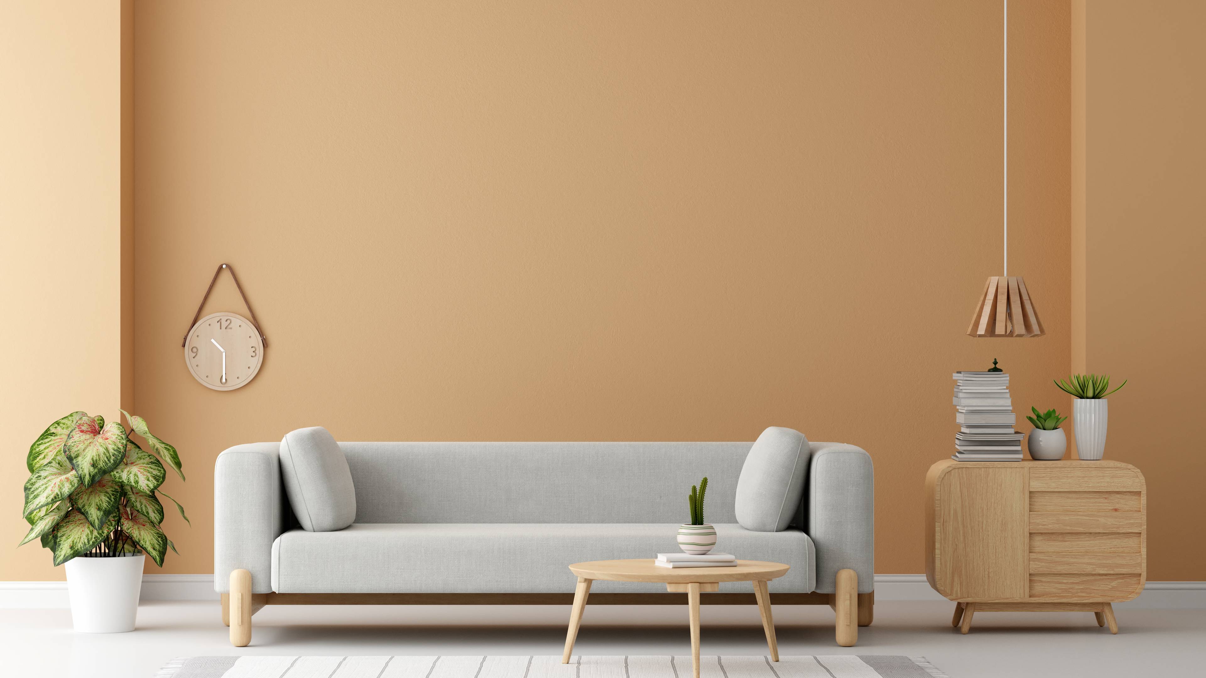 gray sofa in stylish living room