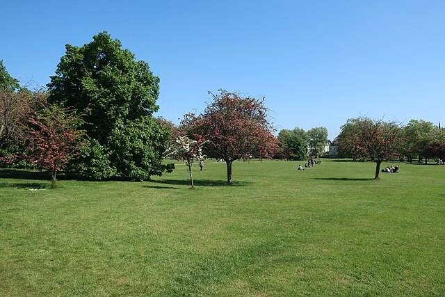 Primrose Hill