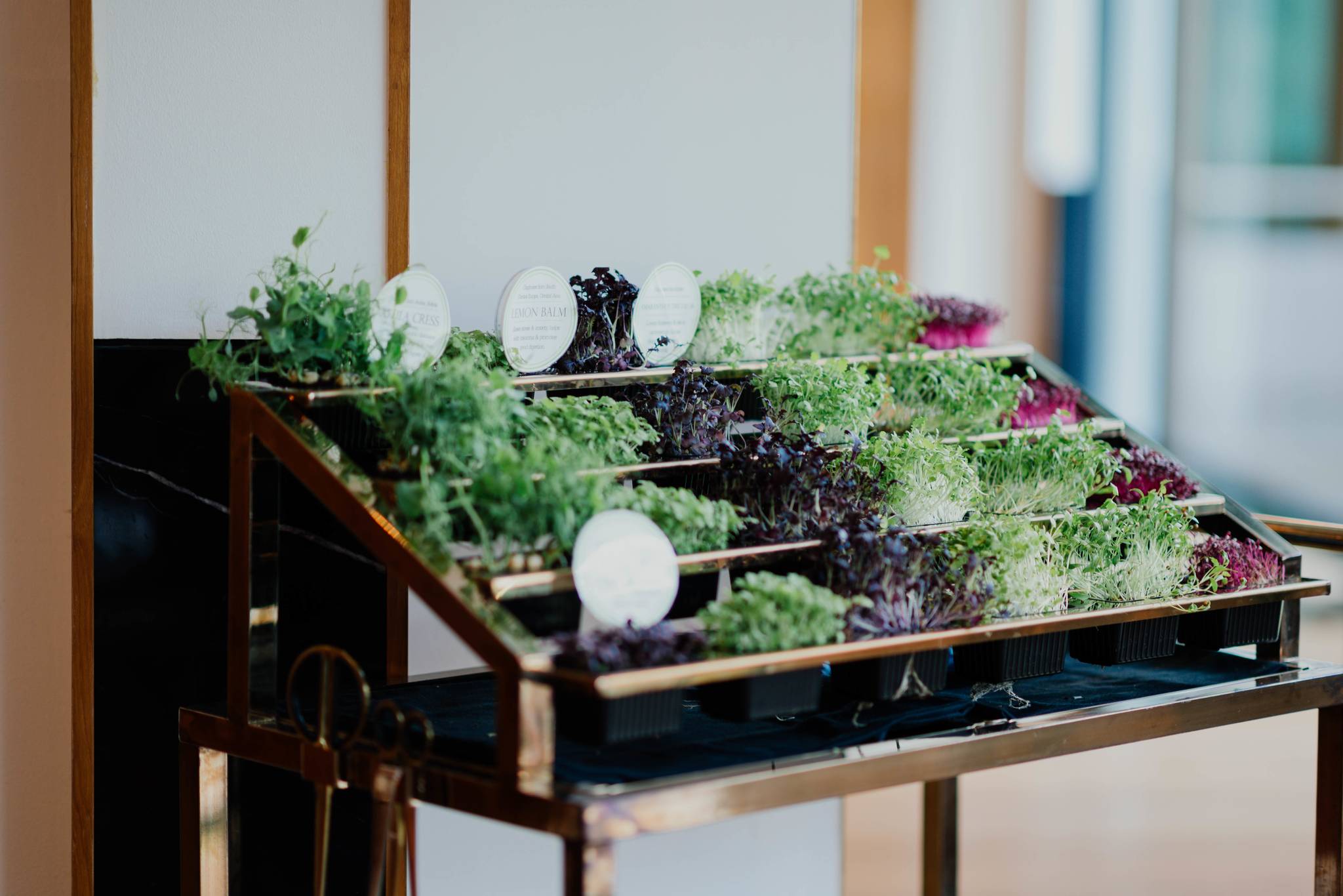 Little potted plants.