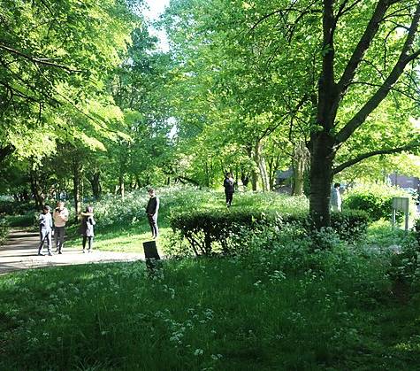 upper holloway park