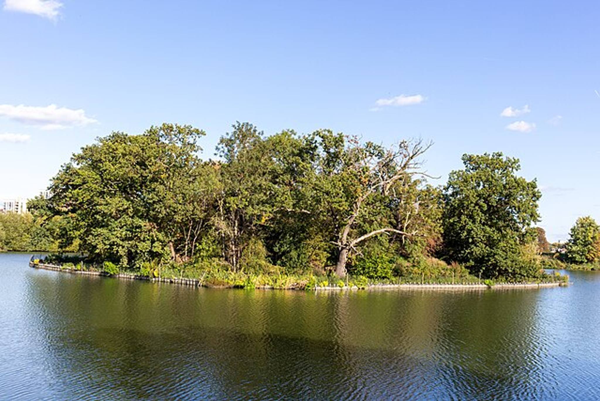 Island at Walthamstow Wetlands