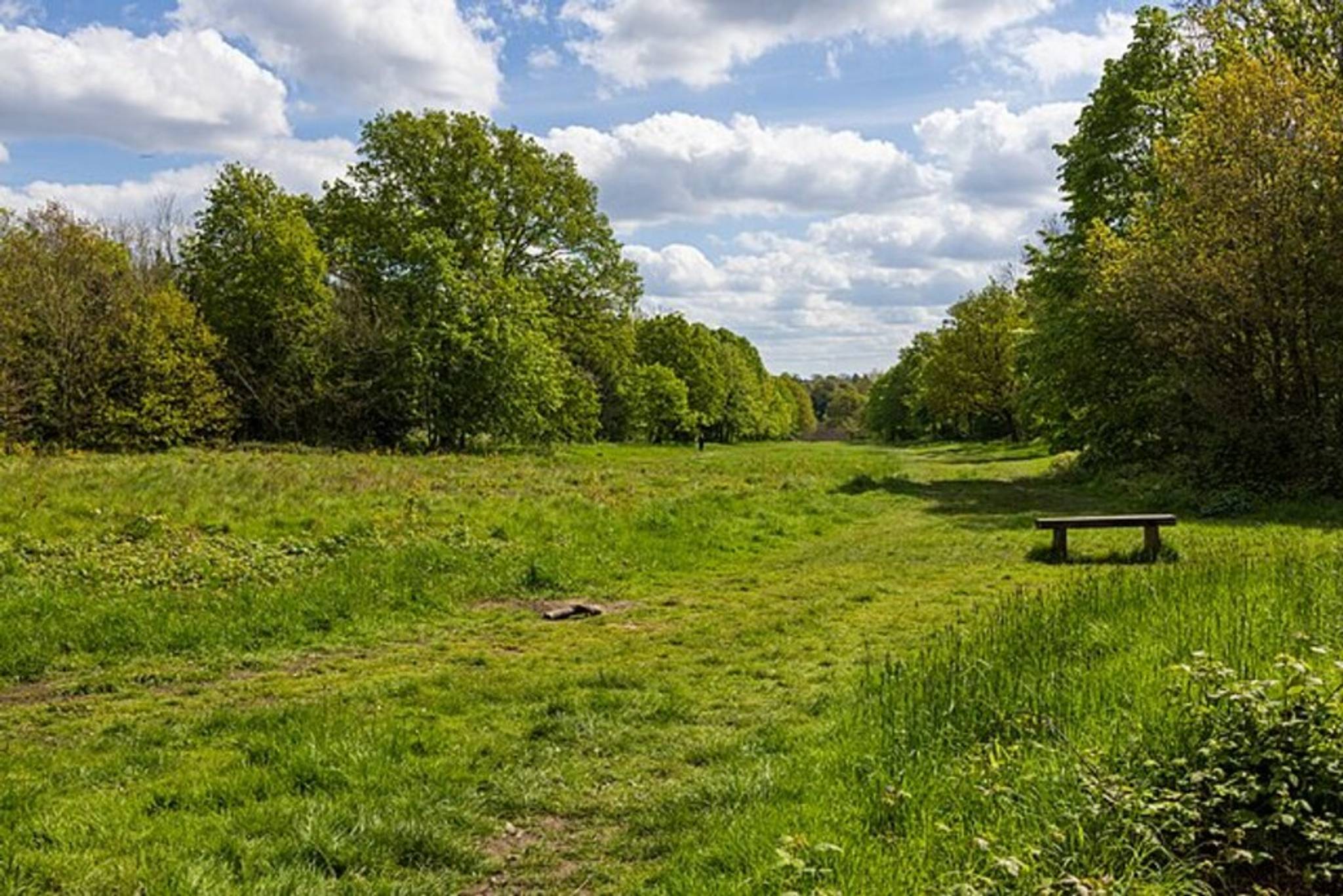 Wanstead Park, London in April 2024