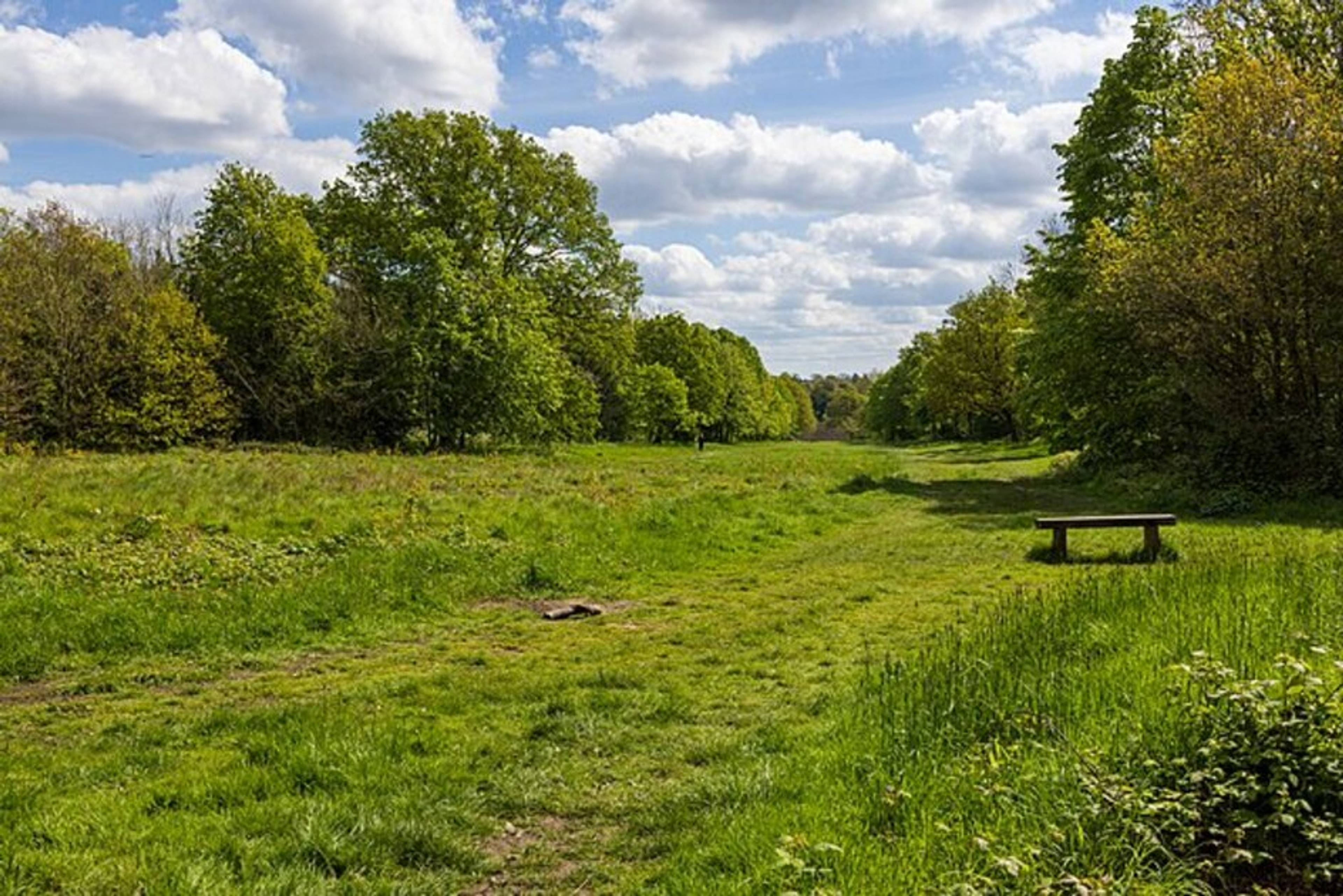 Wanstead Park, London in April 2024