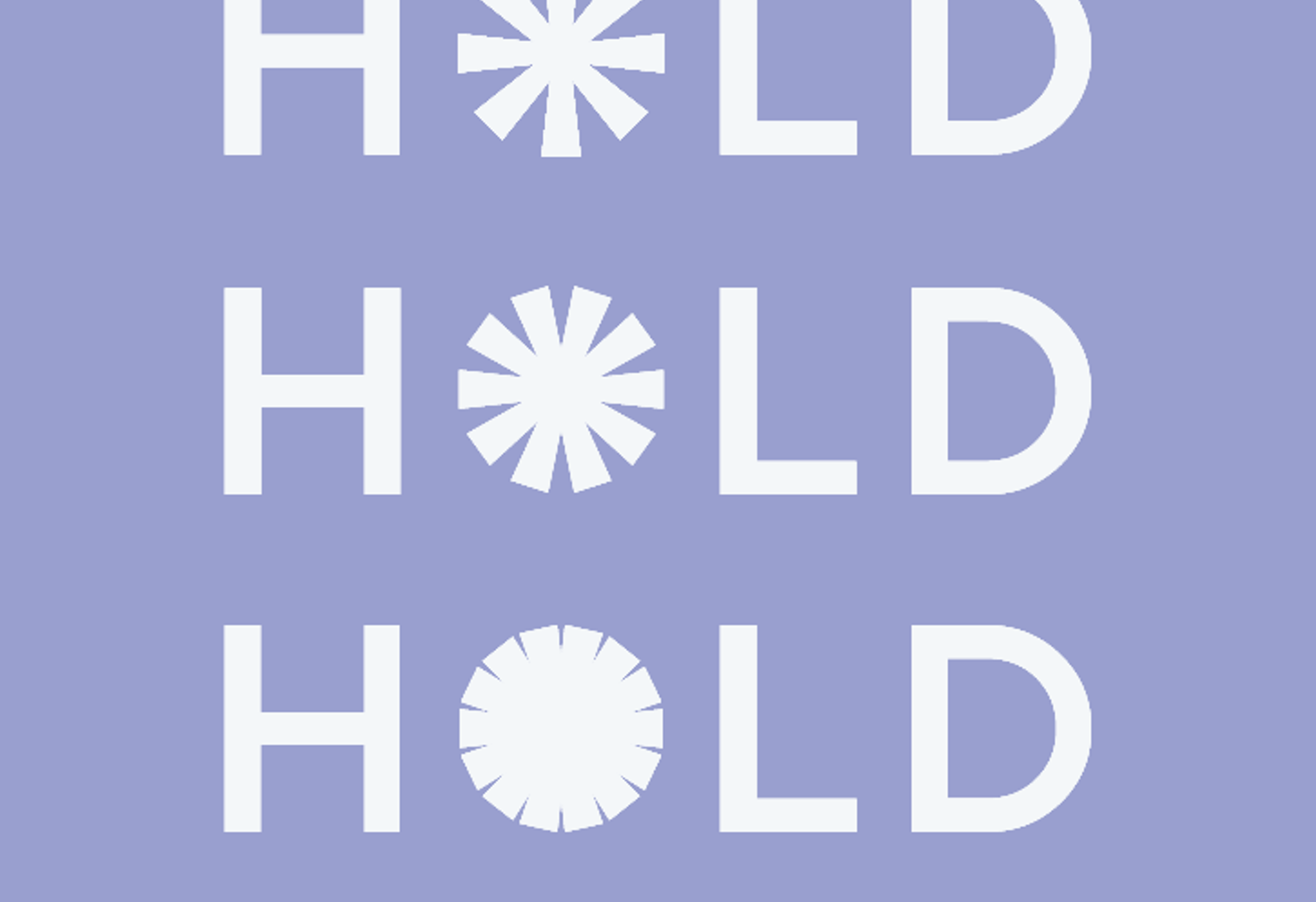 HOLD Self Storage logos