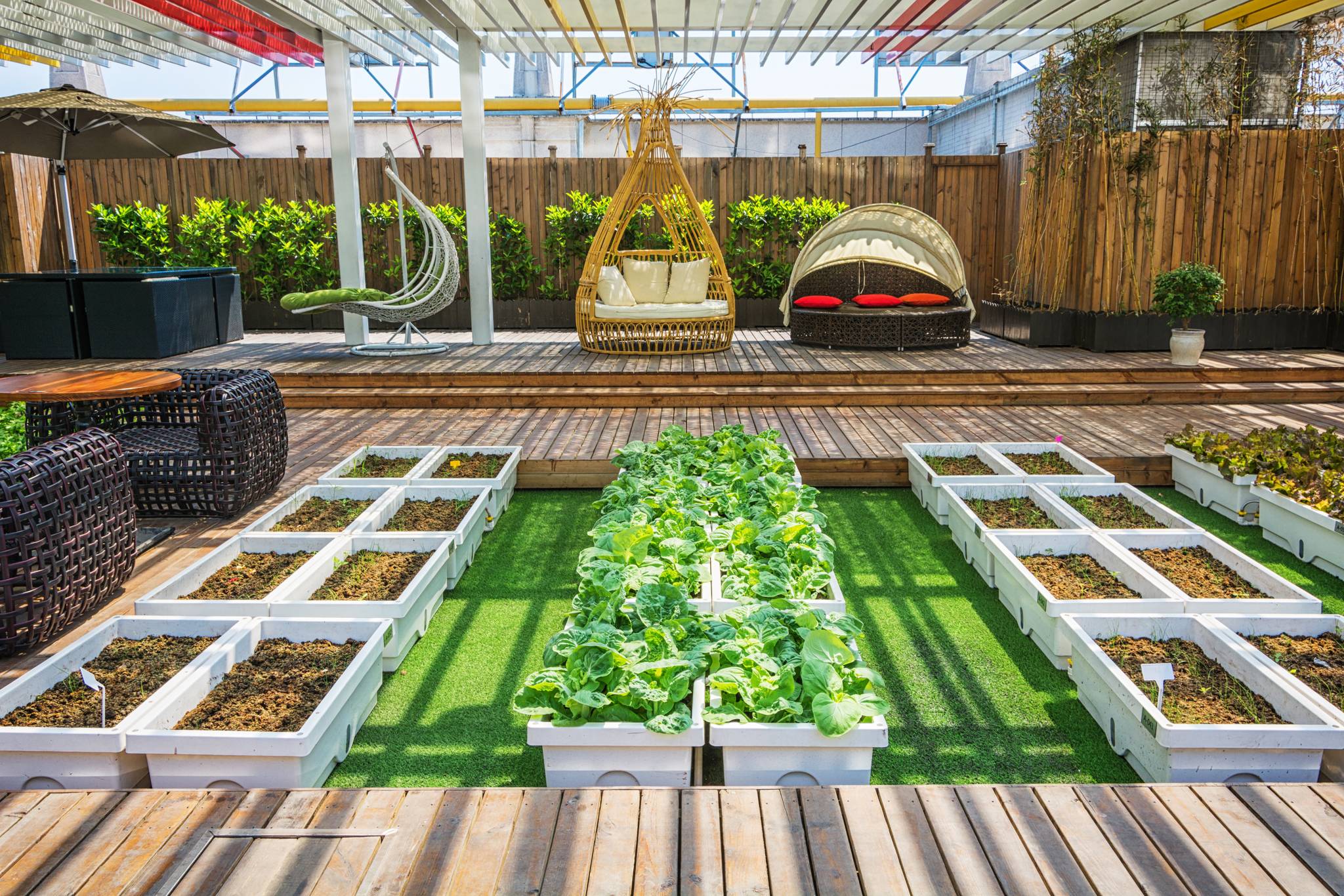 Rooftop garden
