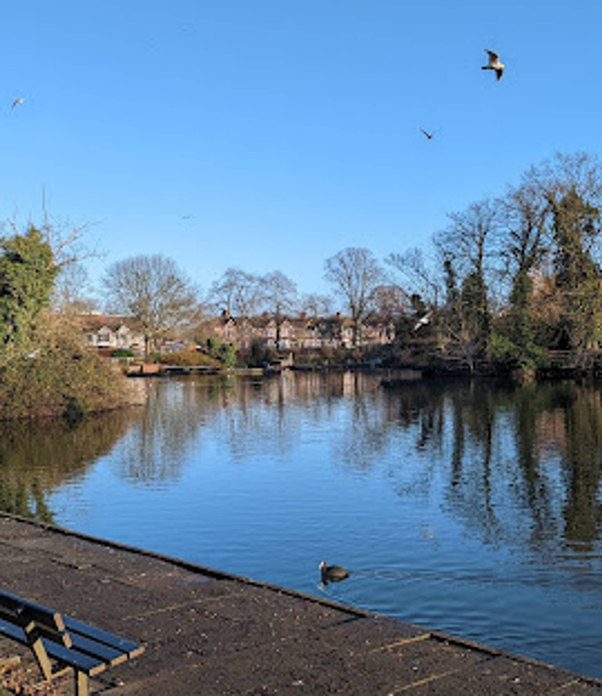 South park in ilford